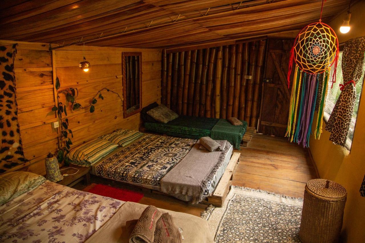 Eco Hostel Organic Life Trindade  Exterior photo