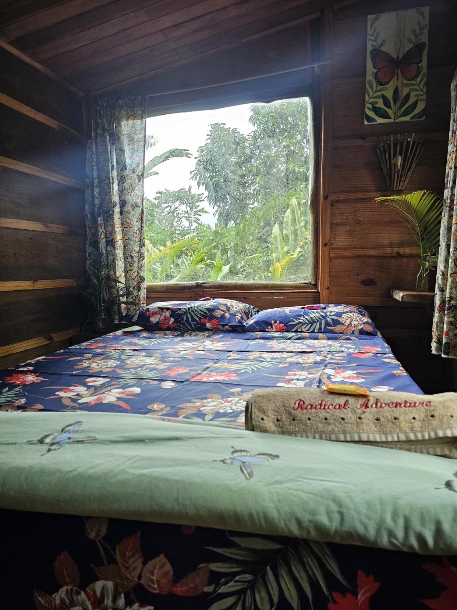 Eco Hostel Organic Life Trindade  Exterior photo